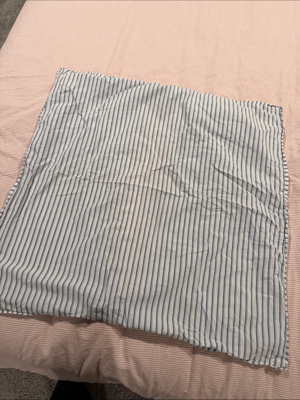 West Elm Euro Pillow Cases (Set of 2)